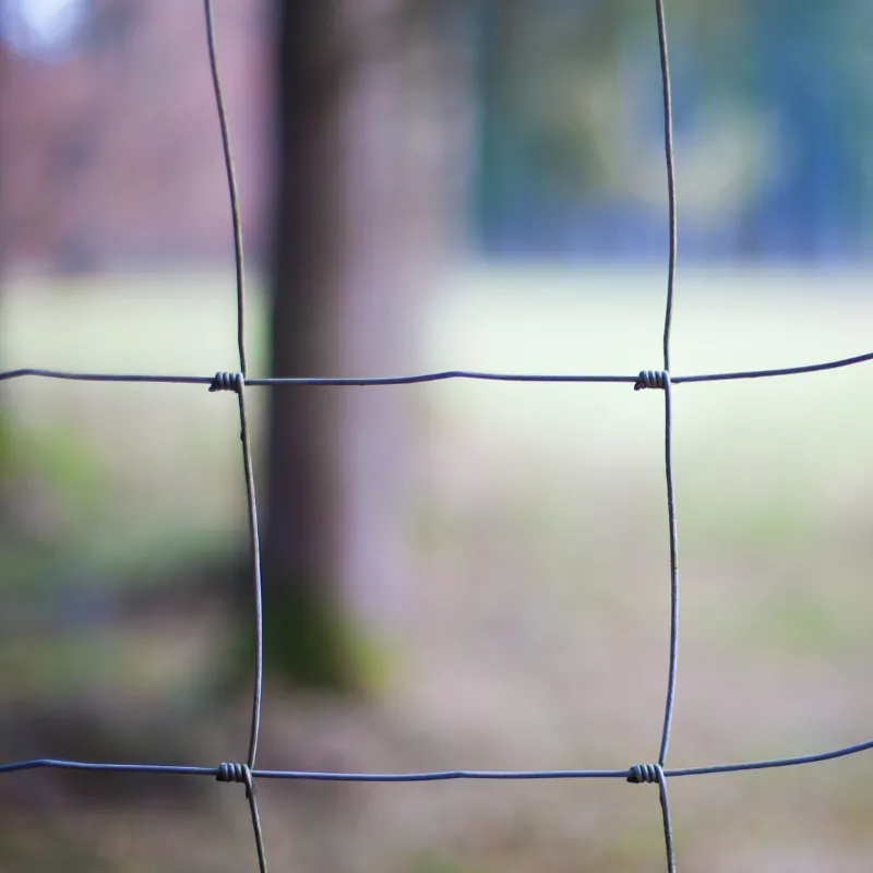 Cerca para ovelhas e cabras