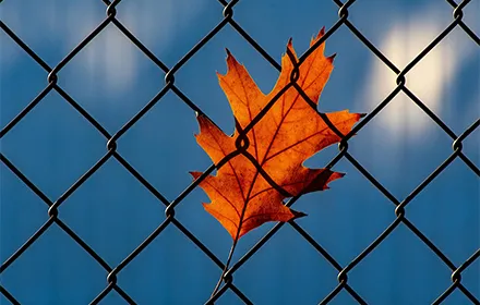 A superioridade da malha de arame Anping no mercado norte-americano