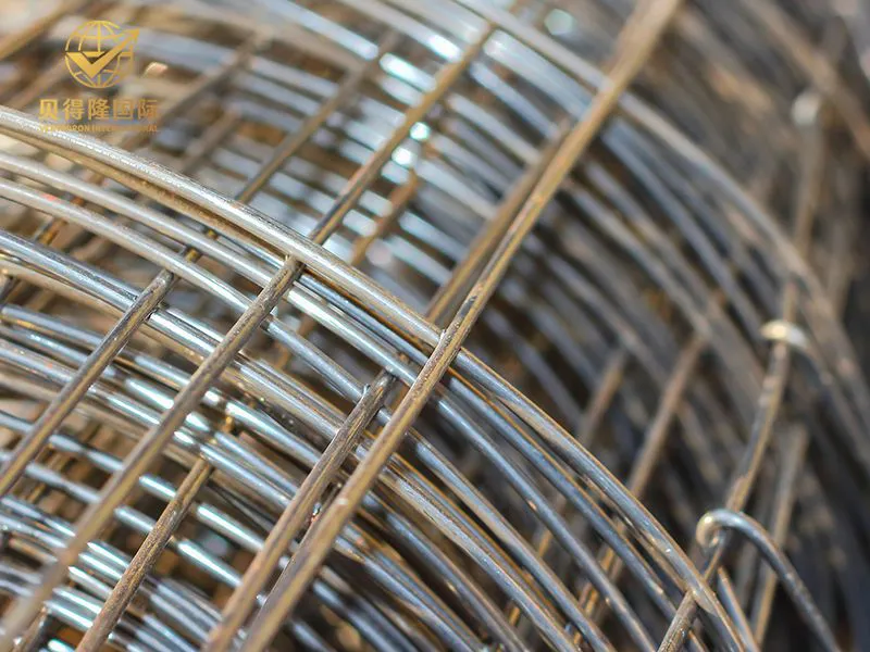 Rolo de malha soldada galvanizada