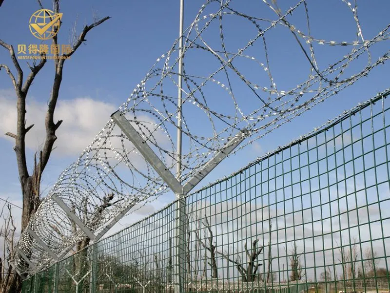 Arame Navalha Concertina