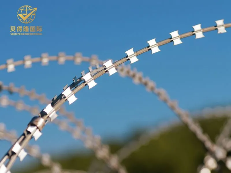 Arame Navalha Concertina