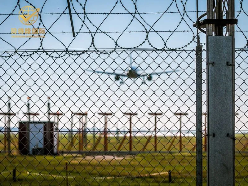 Arame Navalha Concertina