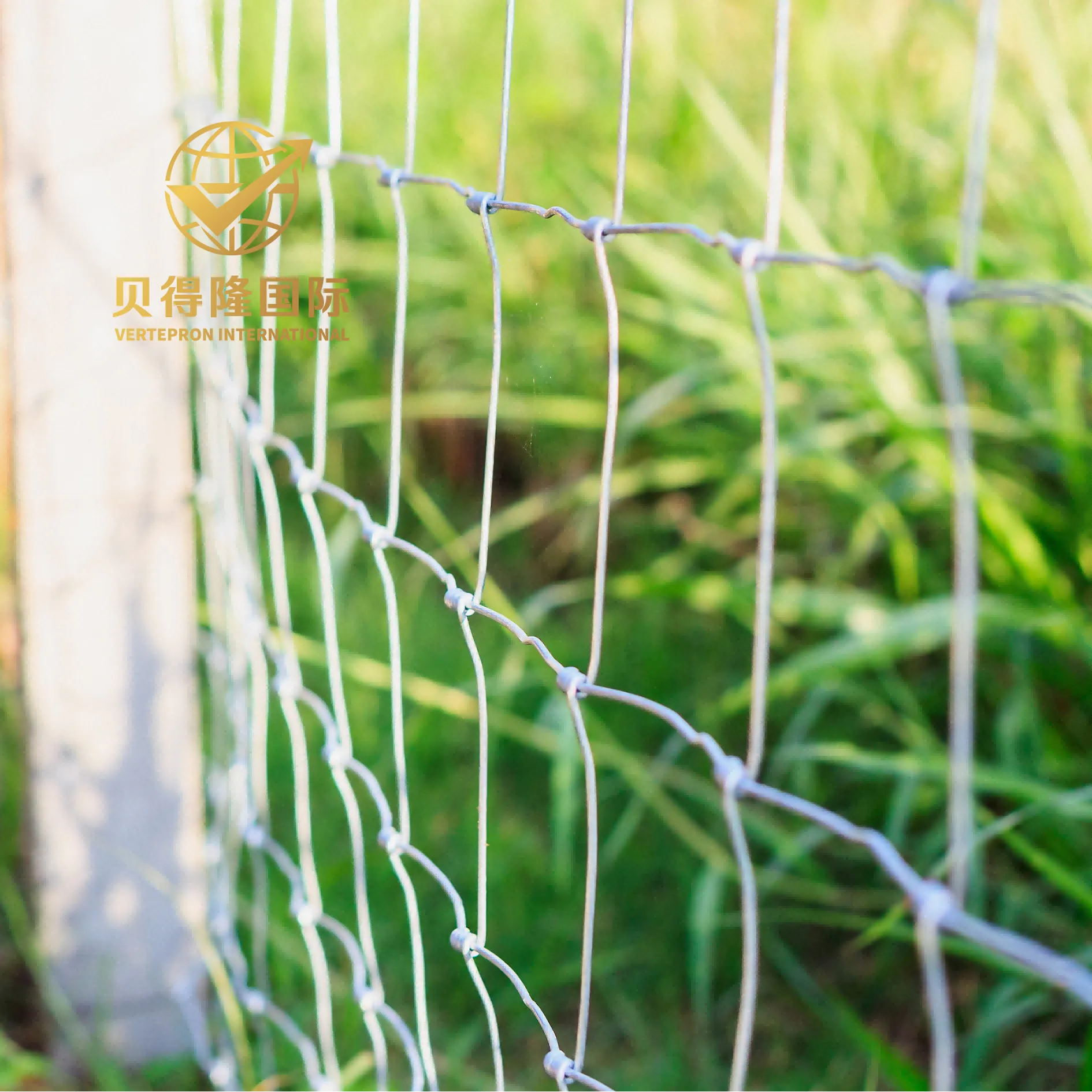 Cerca para ovelhas e cabras